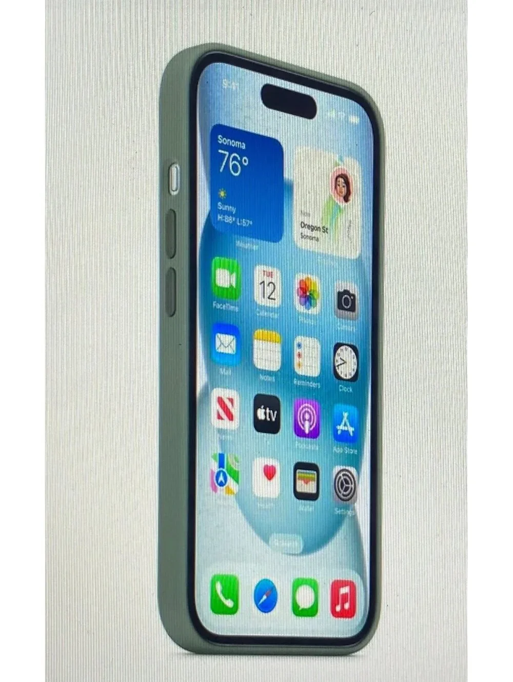 Apple Silicone Case for iPhone 15 Cypress Green